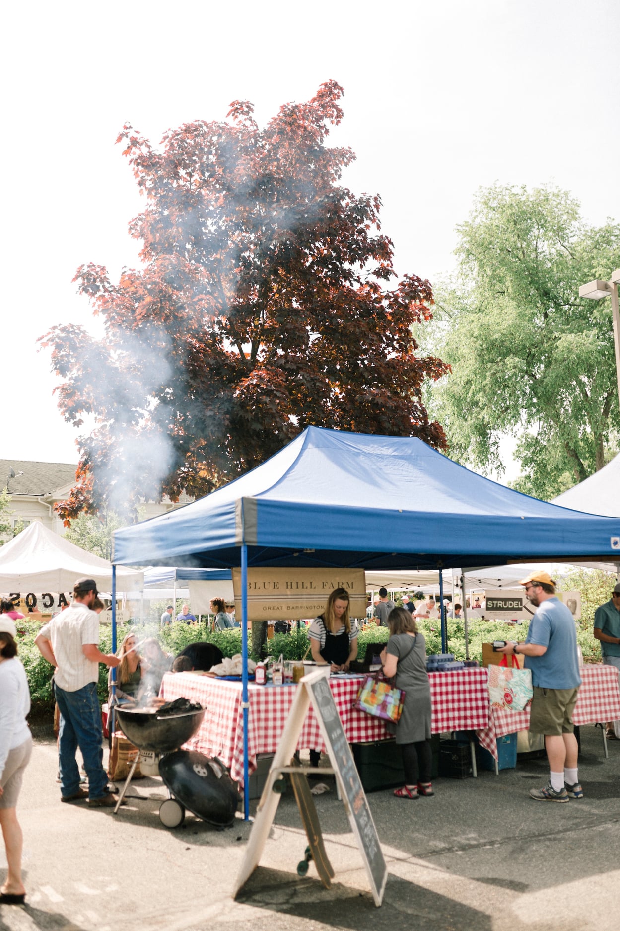 Barrington Farmers Market scene