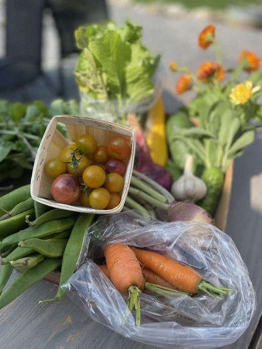 Fresh Vegetables & Fruits 